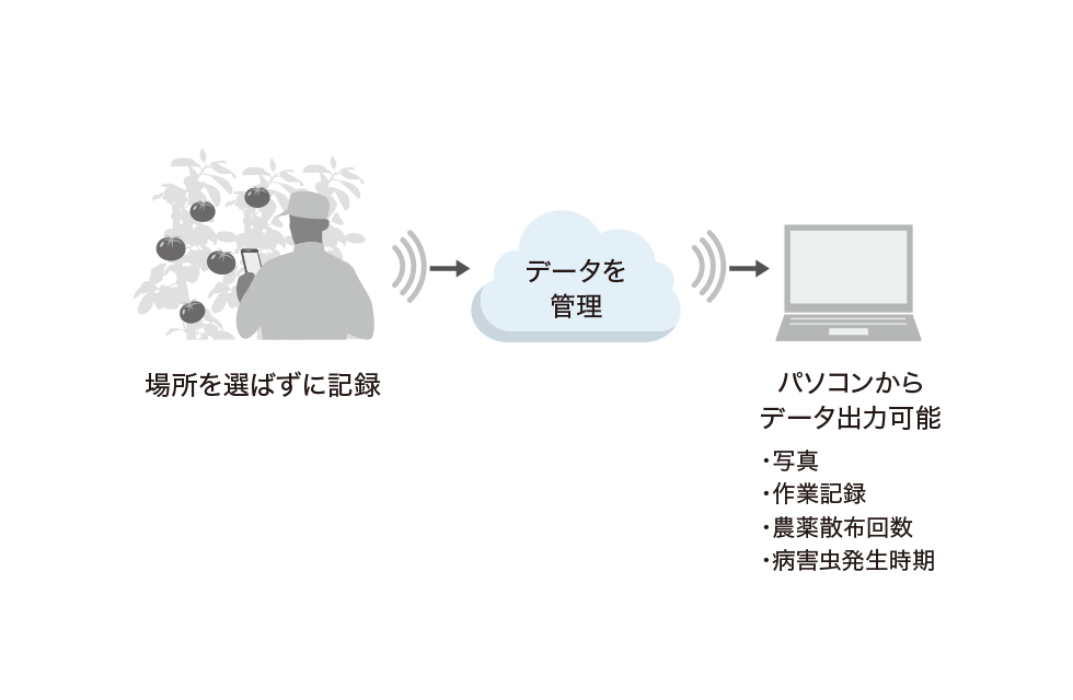 場所を選ばずに記録 → データを管理 → パソコンからデータ出力可能 ・写真 ・作業記録 ・農薬散布回数 ・病害虫発生時期