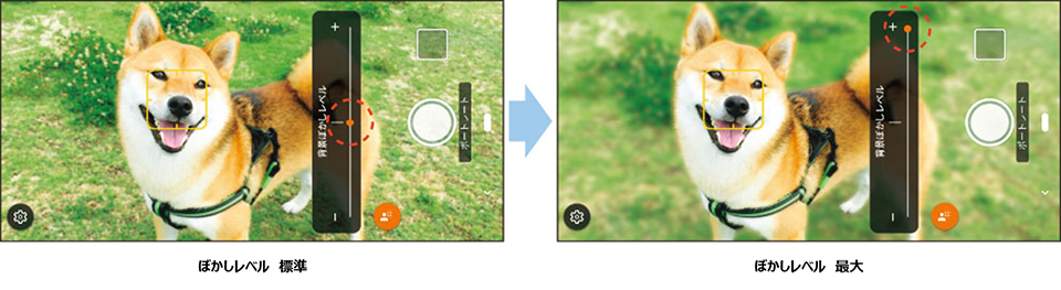 「ぼかしレベル 標準」「ぼかしレベル 最大」のイメージ