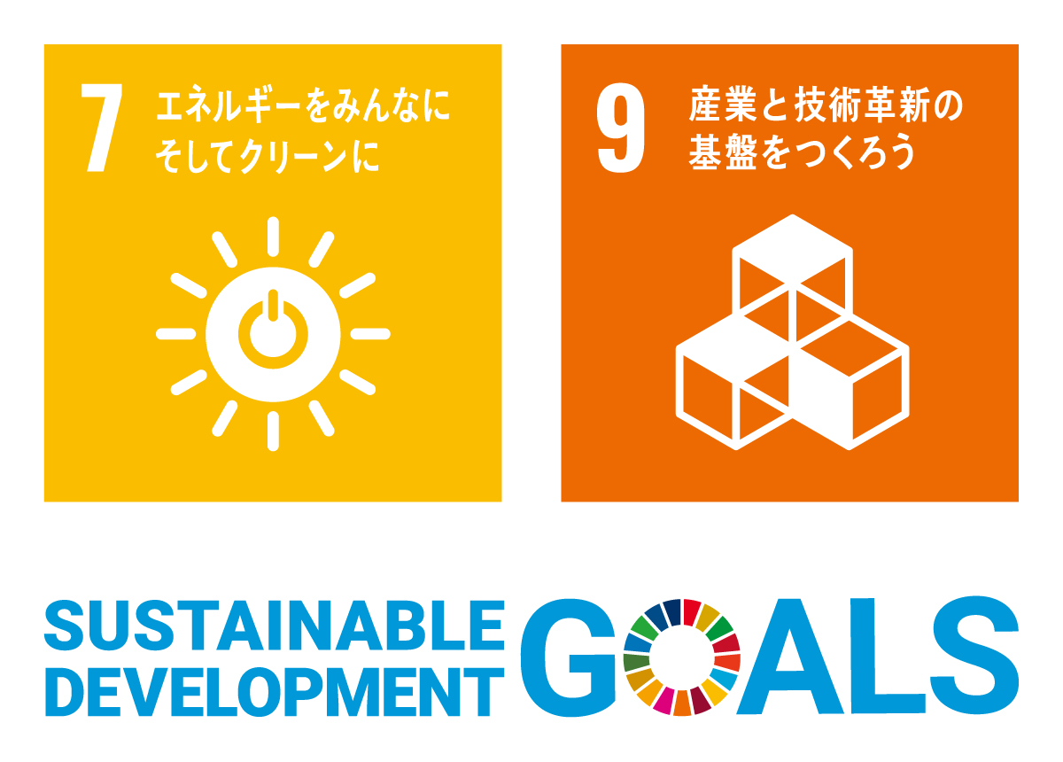 SDGs